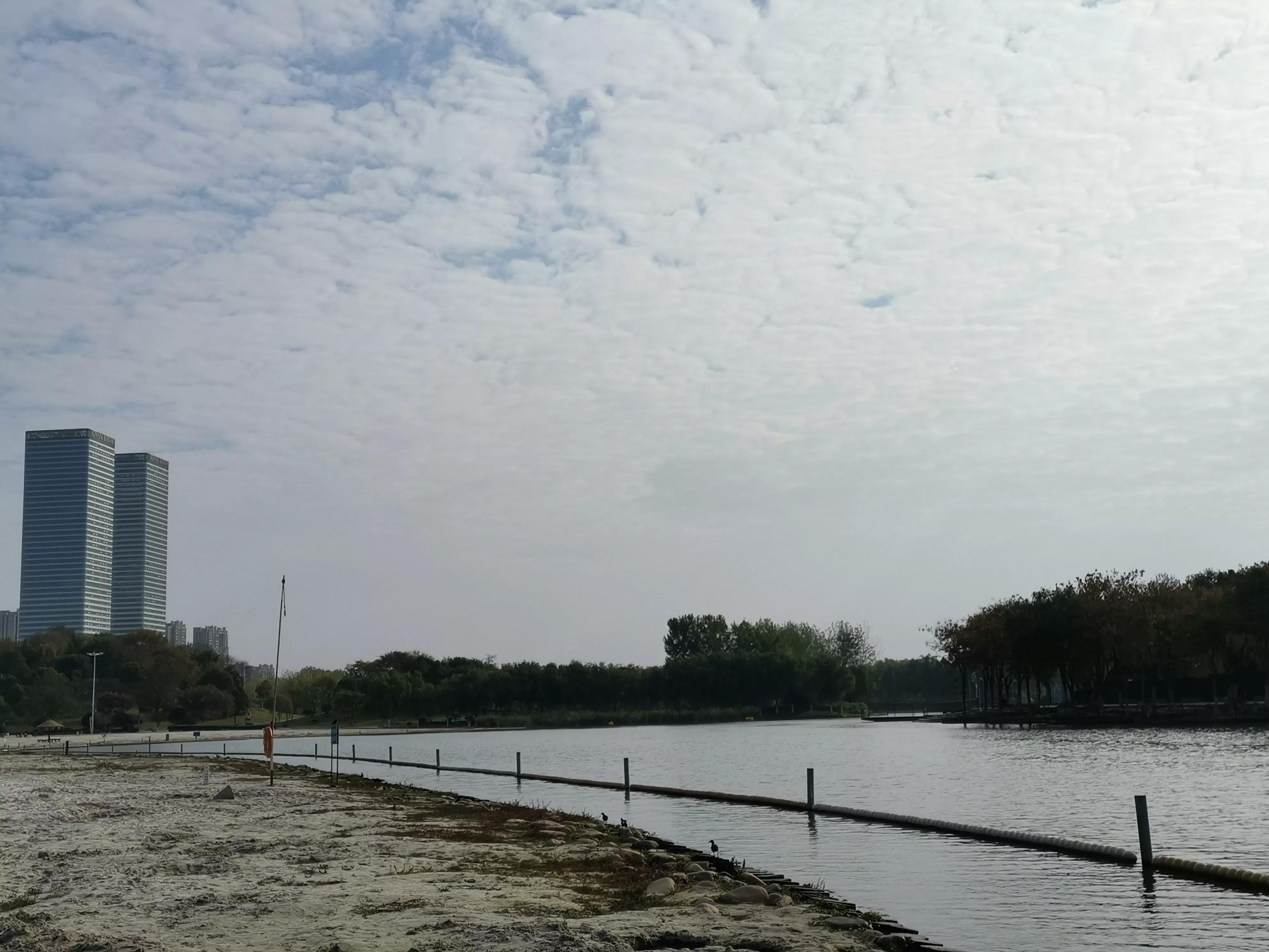 合肥疫情溯源，从零星病例到局部爆发的全过程解析