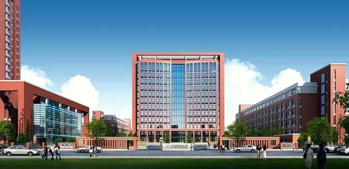 合肥八中2021年开学时间全解析，家长学生必看的最新安排与准备指南